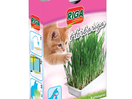 RIGA Herbariga, herbe à chat à faire pousser Supply