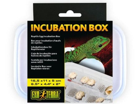 Bac Exo Terra pour incubation Hot on Sale