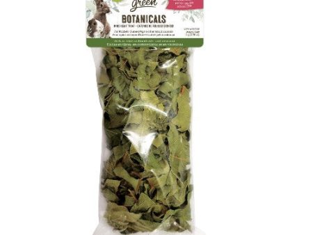 Gâteries de feuilles séchées Botanicals Living World Green, feuilles de goyavier For Discount