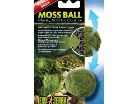 Boule de mousse Moss Ball Exo Terra pour le contrôle de la clarté de l eau et des odeurs Supply