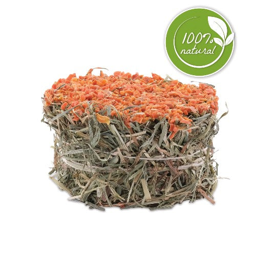 Galette de foin Botanicals Living World Green, carotte Online Hot Sale