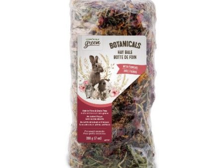 Botte de foin Botanicals Living World Green, fleurs Cheap