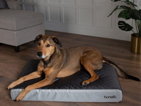 Scruffs ArmourDillo Orthopaedic Dog Bed For Cheap