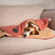 Scruffs Snuggle Blanket - Terracotta Sale