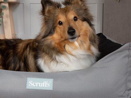 Scruffs Expedition Box Bed Sale