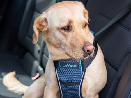 CarSafe Crash Tested Dog Harness Hot on Sale