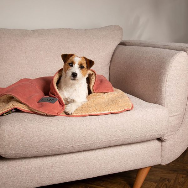 Scruffs Snuggle Blanket - Terracotta Sale