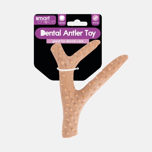 Smart Choice Nylon Dental Antler Dog Toy For Discount