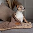 Scruffs Snuggle Blanket - Caramel Brown Hot on Sale