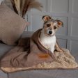 Scruffs Snuggle Blanket - Caramel Brown Hot on Sale