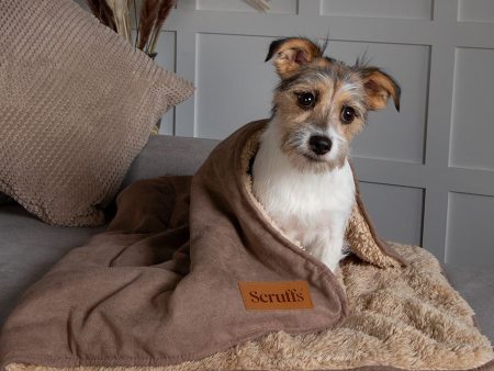 Scruffs Snuggle Blanket - Caramel Brown Hot on Sale