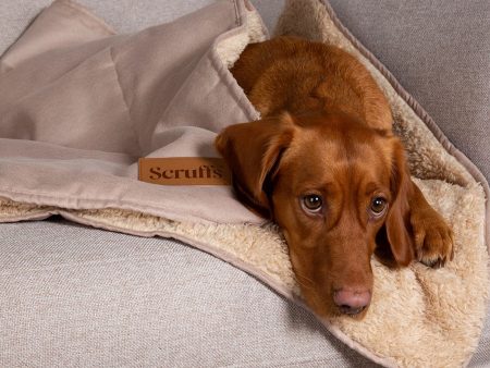 Scruffs Snuggle Blanket - Desert Sand Fashion