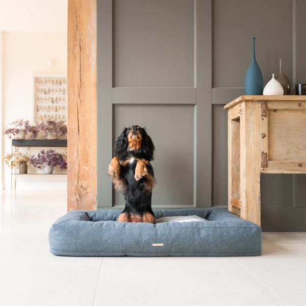 Comfort Cube Dog Bed in Anthracite by Lords & Labradors Hot on Sale