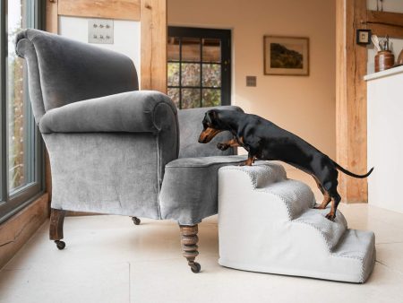 Cloud Steps in Dove Grey by Lords & Labradors For Sale