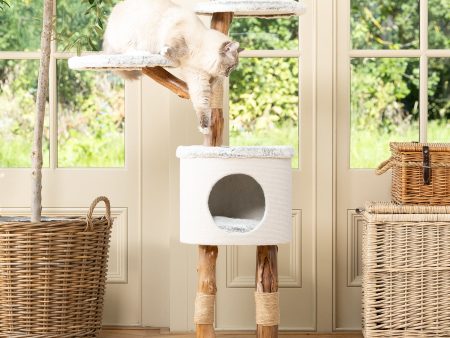 Back to Nature The High Rise Cat Scratch Post Sale