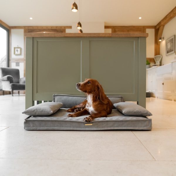 Execu-Sofa in Ash by Lords & Labradors on Sale