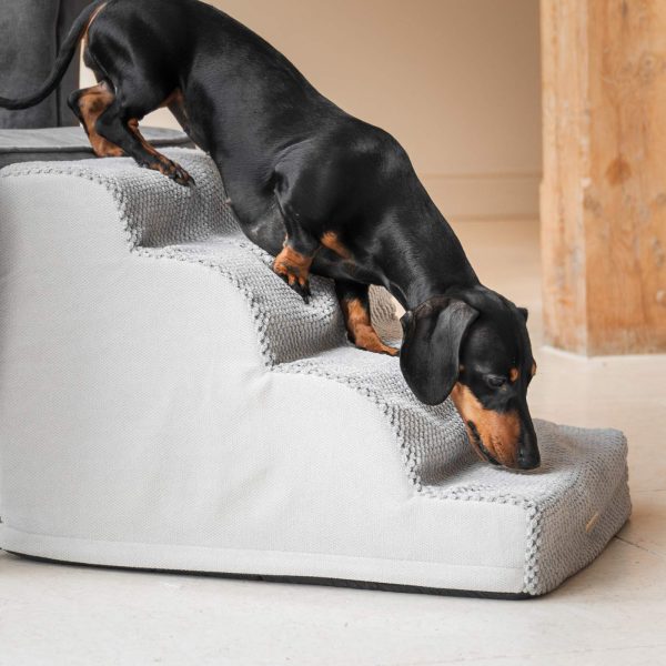 Cloud Steps in Dove Grey by Lords & Labradors For Sale