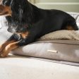 Deep Sleep Dog Bed in Putty by Lords & Labradors Supply