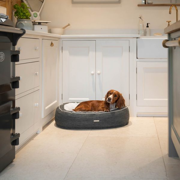 The Nest Round Dog Bed by Lords & Labradors Cheap