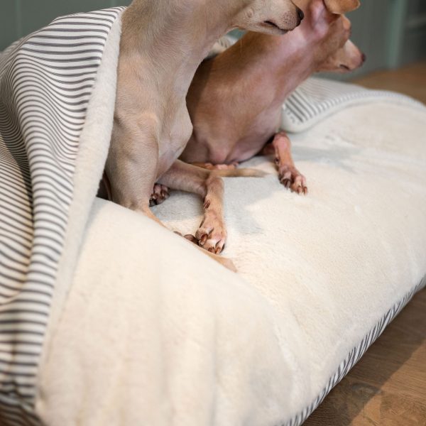 Sleepy Burrows Bed With Removable Cover in Regency Stripe by Lords & Labradors For Discount