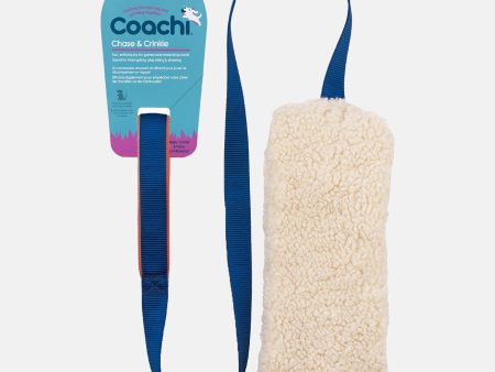 Coachi Chase & Crinkle For Sale