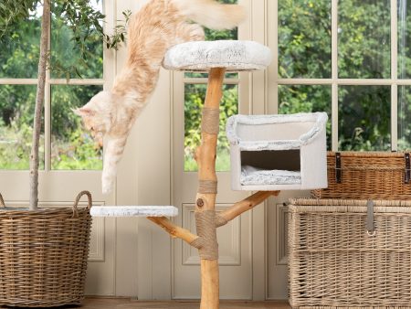 Back to Nature The Luxe Cat Scratch Post Fashion