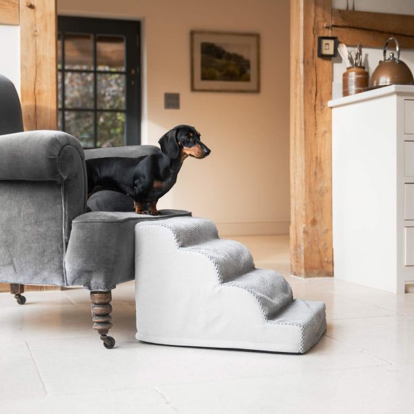 Cloud Steps in Dove Grey by Lords & Labradors For Sale