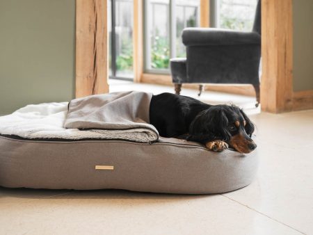 Dig & Dive Den Bed by Lords & Labradors For Cheap