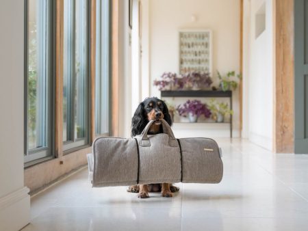 Roll & Go Travel Mat by Lords & Labradors Sale