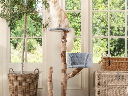 Back to Nature The Trio Cat Scratch Post Supply