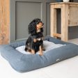 Comfort Cube Dog Bed in Anthracite by Lords & Labradors Hot on Sale