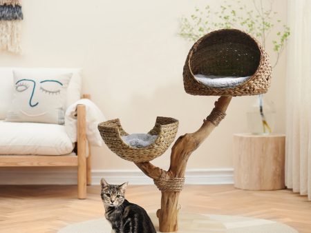 Back to Nature The Duo Cat Scratch Post Online now