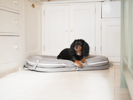 The Ultimate Capsule Travel Dog Bed by Lords & Labradors For Sale