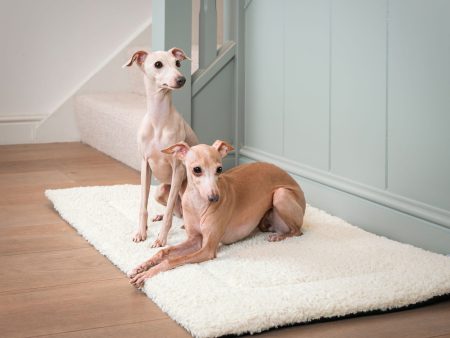 Hottie Mat by Lords & Labradors Hot on Sale