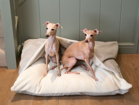 Sleepy Burrows Bed With Removable Cover in Regency Stripe by Lords & Labradors For Discount